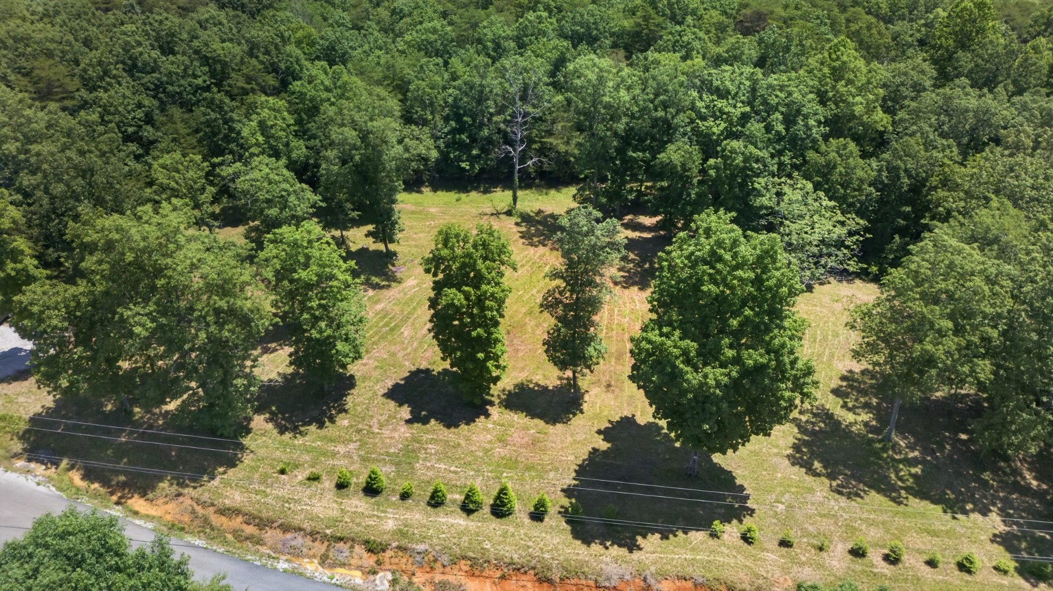0 Monteagle Falls Road Monteagle, TN 37356 - Photo 14 of 17