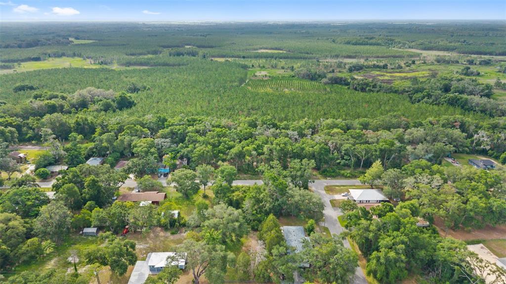 15177 Spokane Road Spring Hill, FL 34610 - Photo 4 of 17