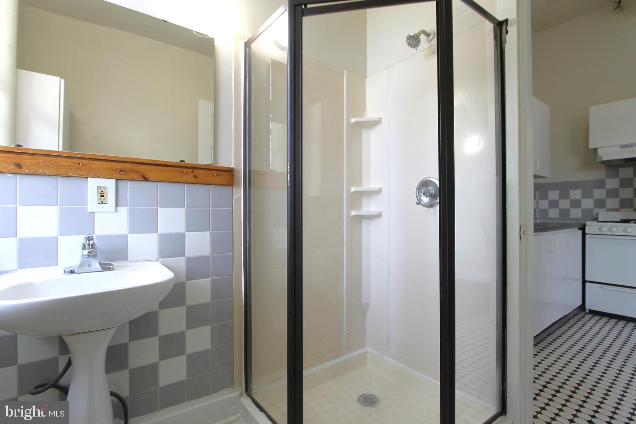 100 East Price Street, Unit 1G Philadelphia, PA 19144 - Photo 7 of 16 a bathroom with a sink and a mirror
