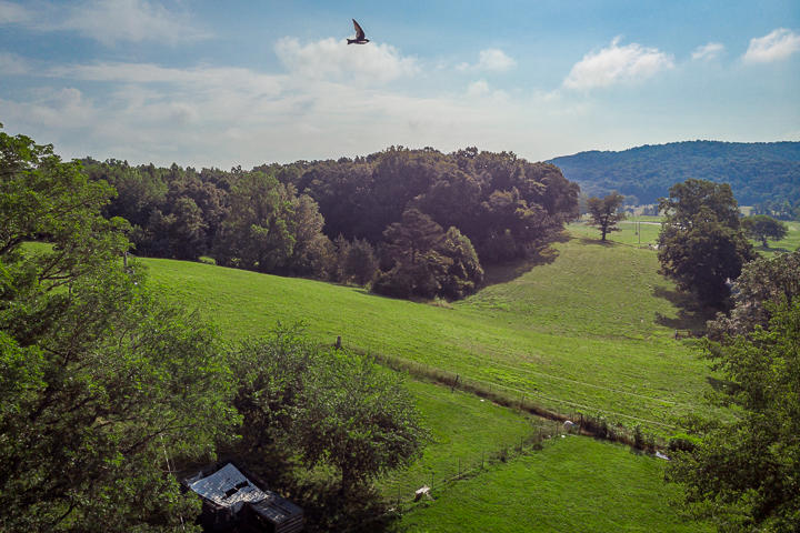 9077 Spring Creek Road Cookeville, TN 38506 - Photo 23 of 35 DJI_0554