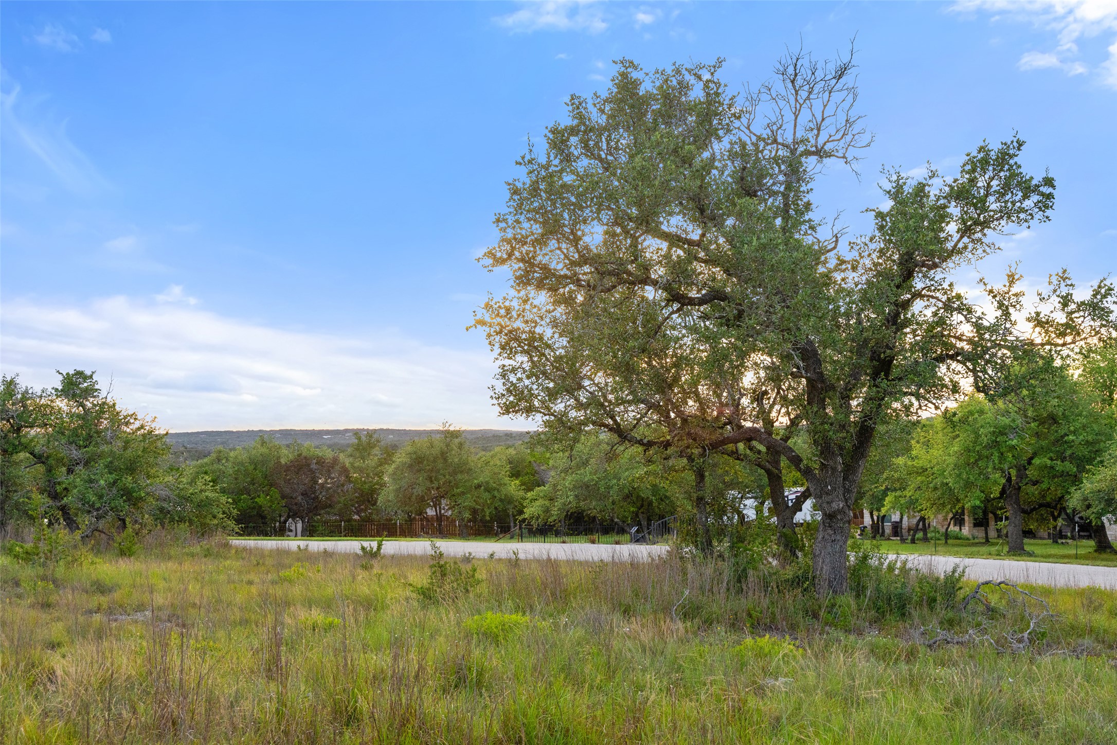 32000 Mirela Ann Road Dripping Springs, TX 78620 - Photo 5 of 12