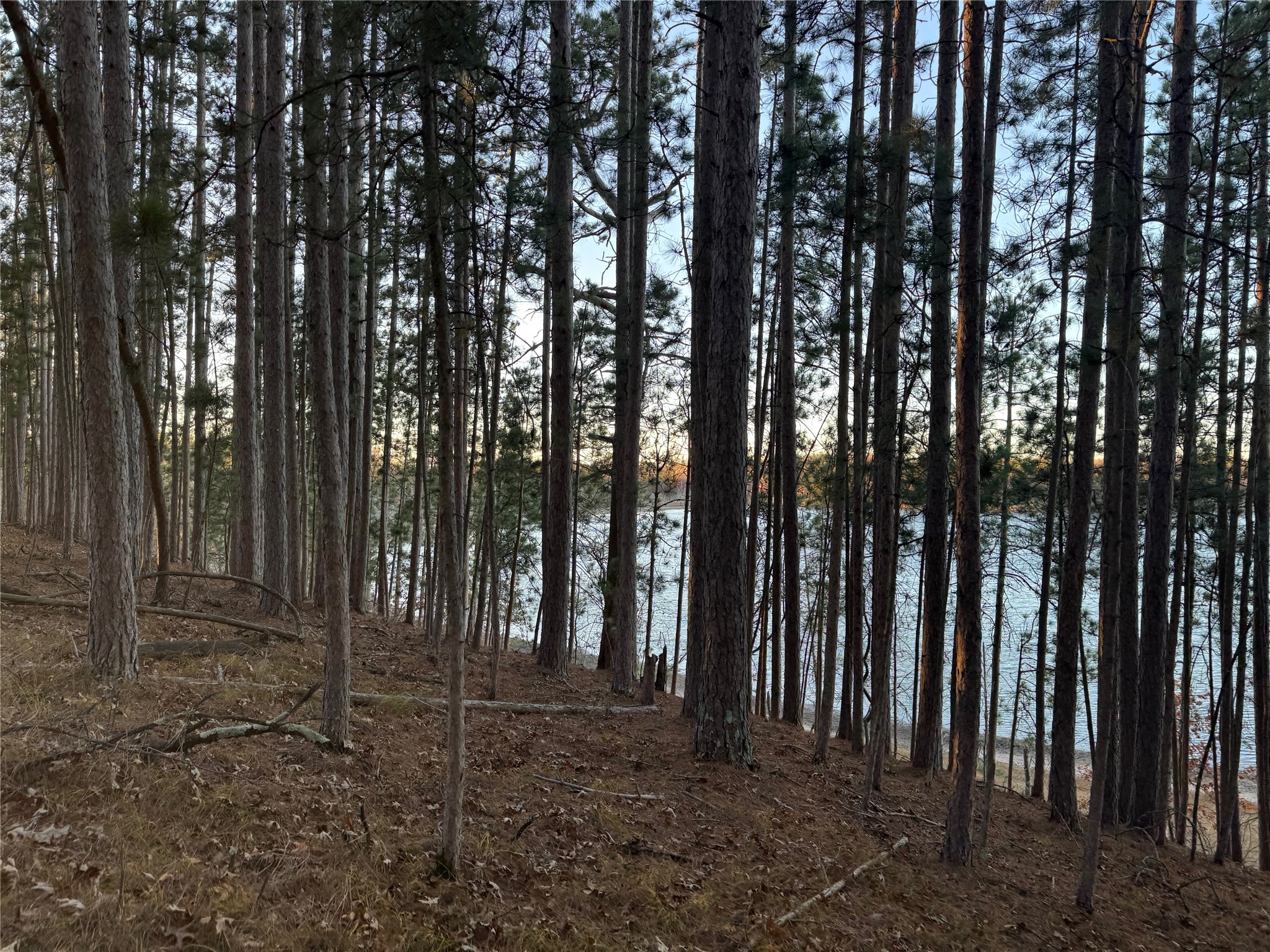 Lot 4 Big Sand Road Minong, WI 54859 - Photo 29 of 38