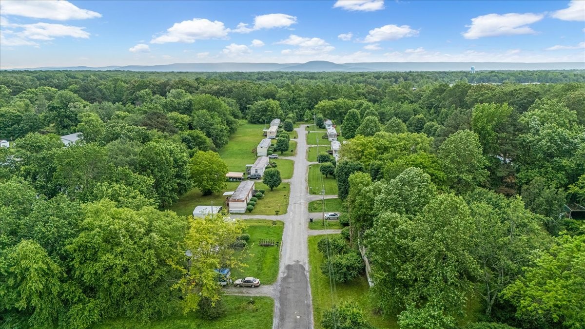 0 Ez Lane Manchester, TN 37355 - Photo 2 of 56 a view of a lush green forest
