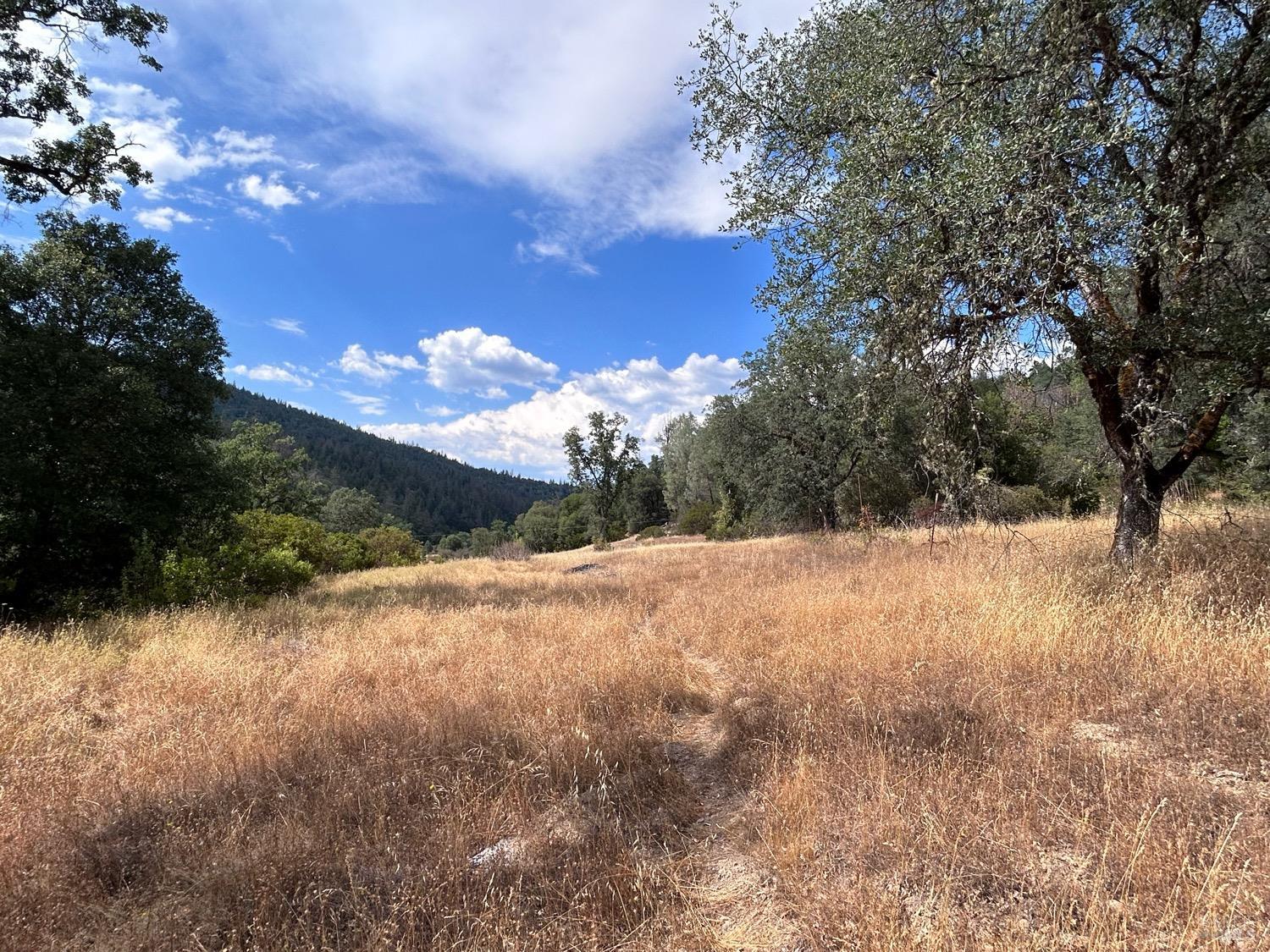 73080 Hill Road Covelo, CA 95428 - Photo 17 of 52 a view of outdoor space and yard