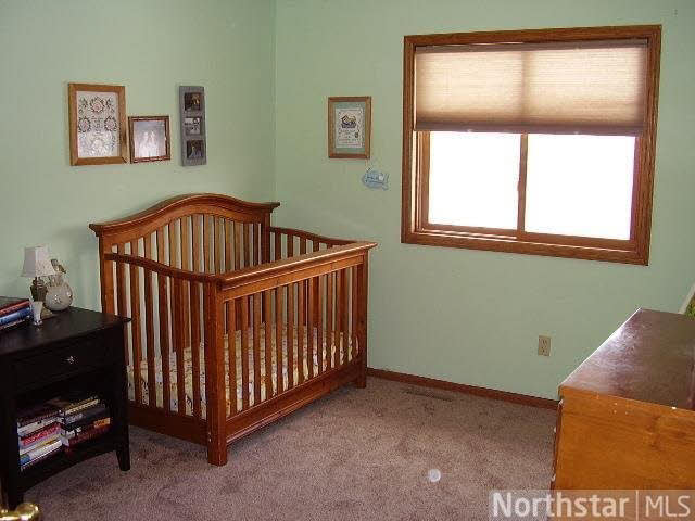 9582 79th Street South Cottage Grove, MN 55016 - Photo 9 of 16