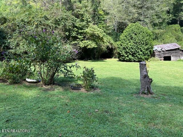 600 Johns Creek Road Del Rio, TN 37727 - Photo 11 of 35 IMG_1888