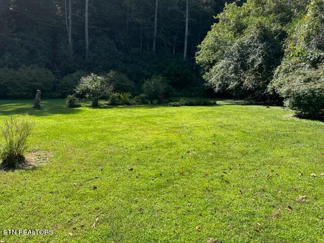 600 Johns Creek Road Del Rio, TN 37727 - Photo 12 of 35 IMG_1890