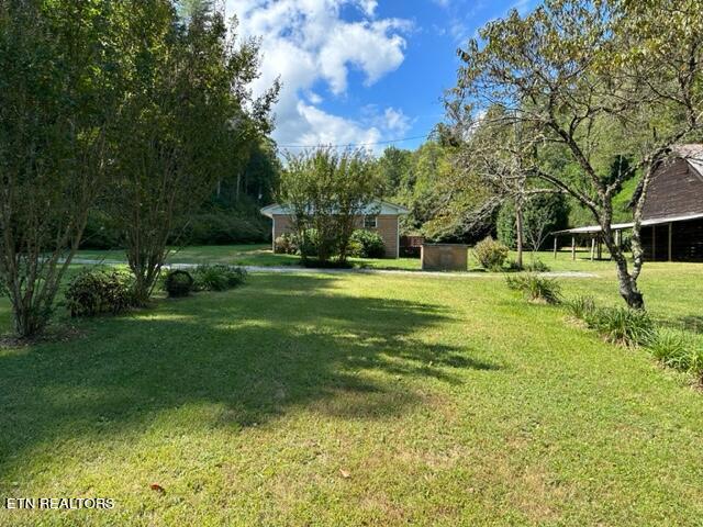 600 Johns Creek Road Del Rio, TN 37727 - Photo 18 of 35 IMG_1900