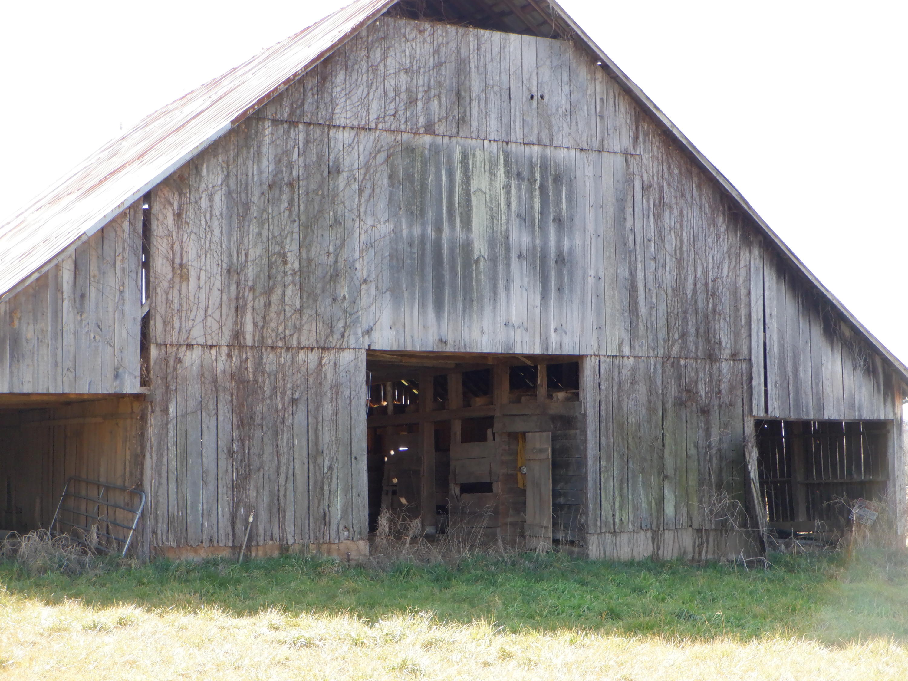 Cedar Valley Road Sweetwater, TN 37874 - Photo 2 of 13 DSCF4964
