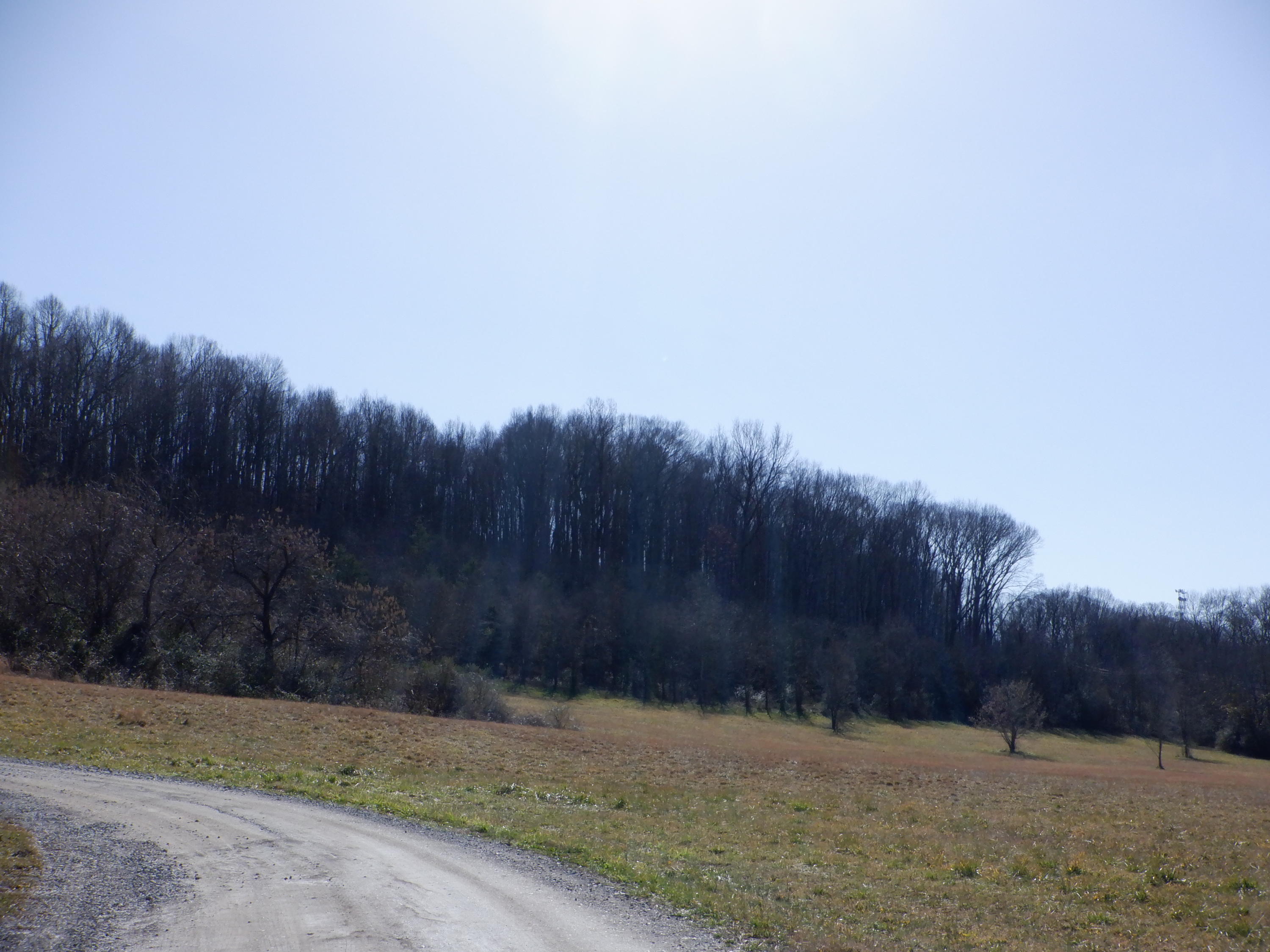 Cedar Valley Road Sweetwater, TN 37874 - Photo 11 of 13 DSCF4961