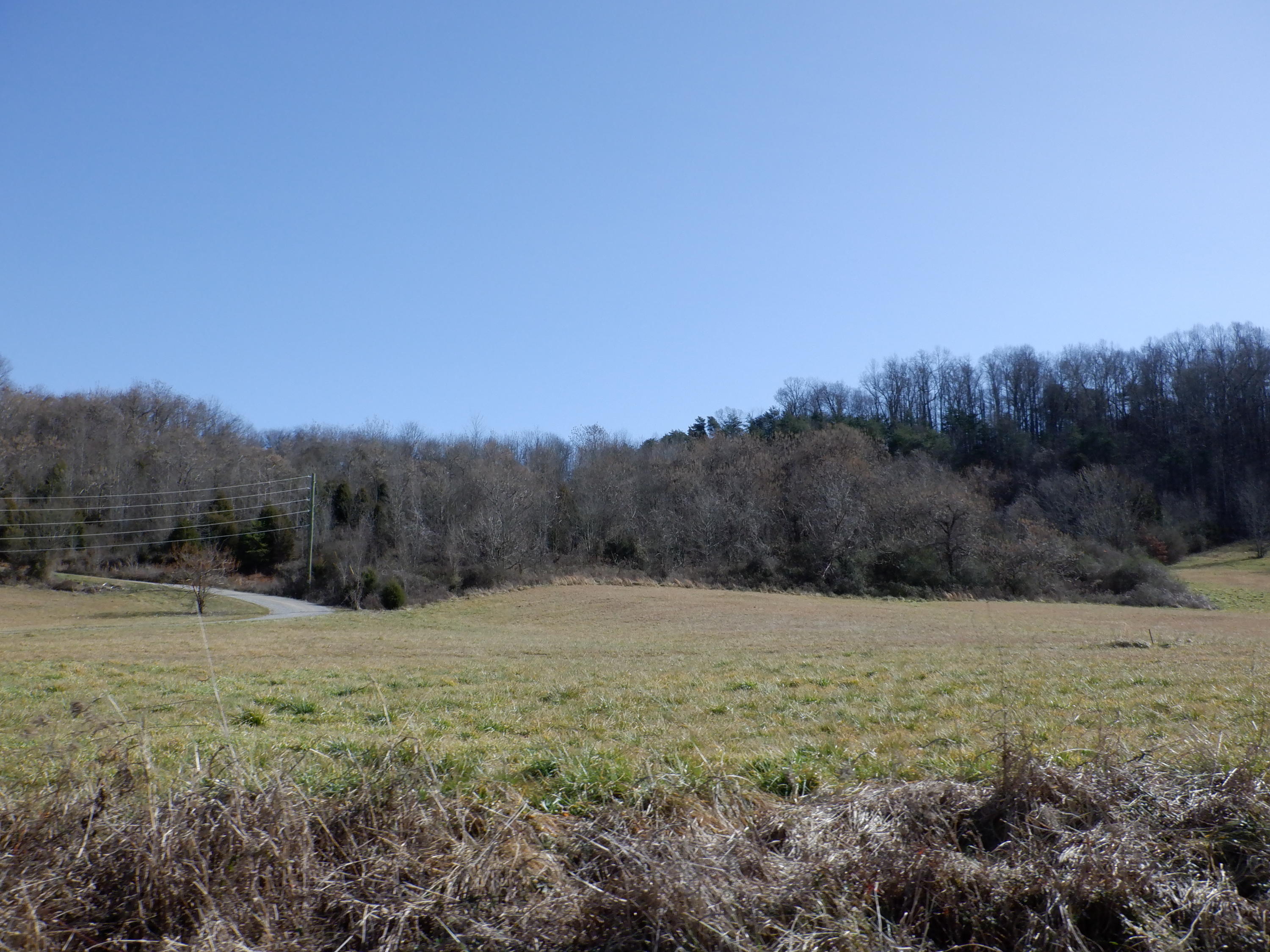Cedar Valley Road Sweetwater, TN 37874 - Photo 7 of 13 DSCF4966