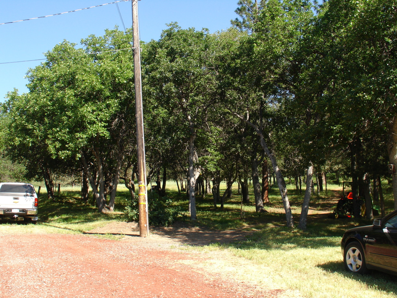 40624 Red Mountain Road Fall River Mills, CA 96028 - Photo 3 of 11 a view of a park that has a tree on the side of it