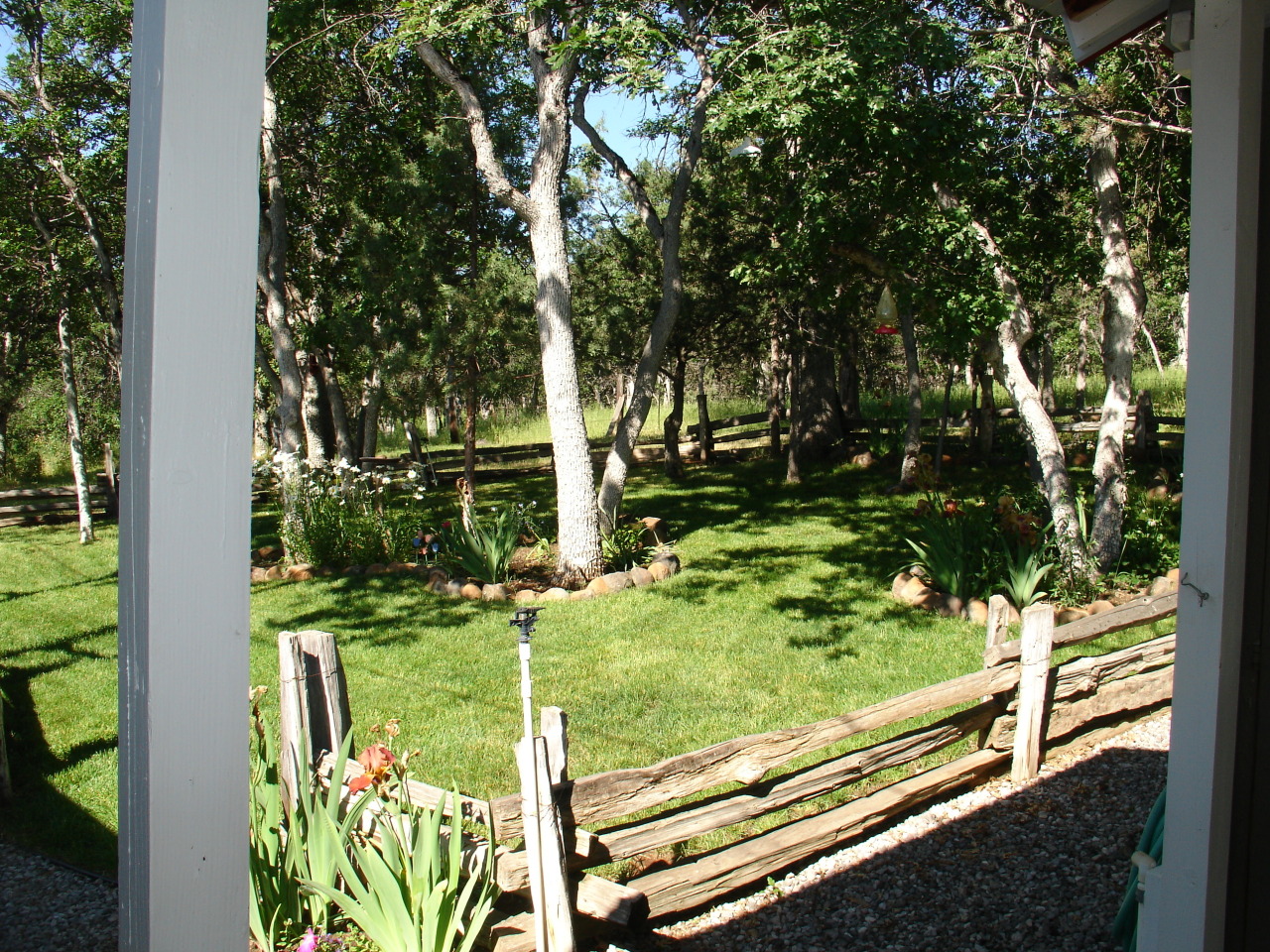 40624 Red Mountain Road Fall River Mills, CA 96028 - Photo 4 of 11 a view of a garden from a window