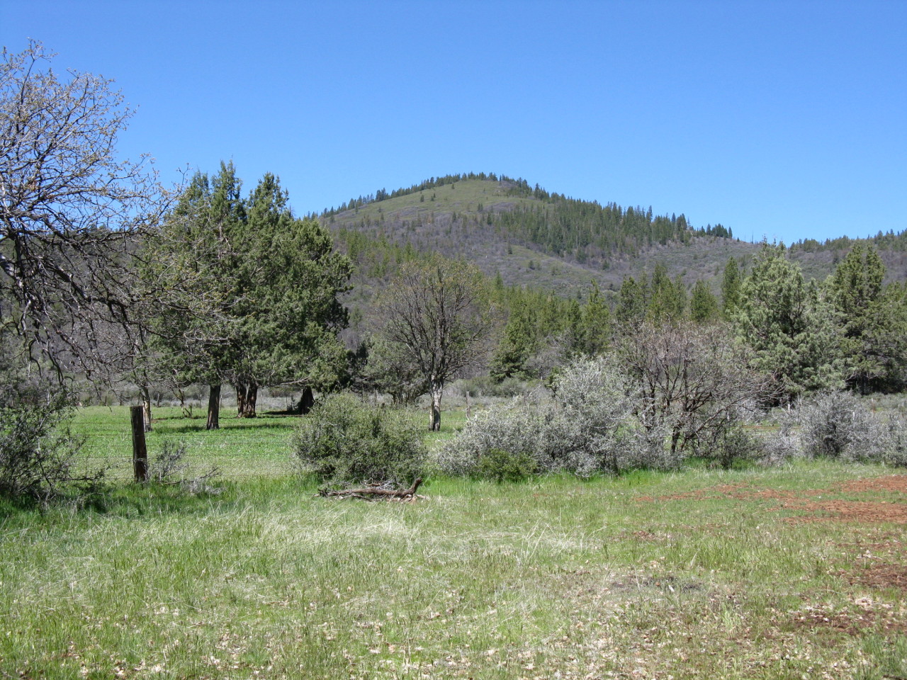 40624 Red Mountain Road Fall River Mills, CA 96028 - Photo 7 of 11 a view of an outdoor space and a yard