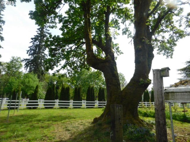 57022 Hazen Road Warren, OR 97053 - Photo 3 of 30 Gallery Image 3