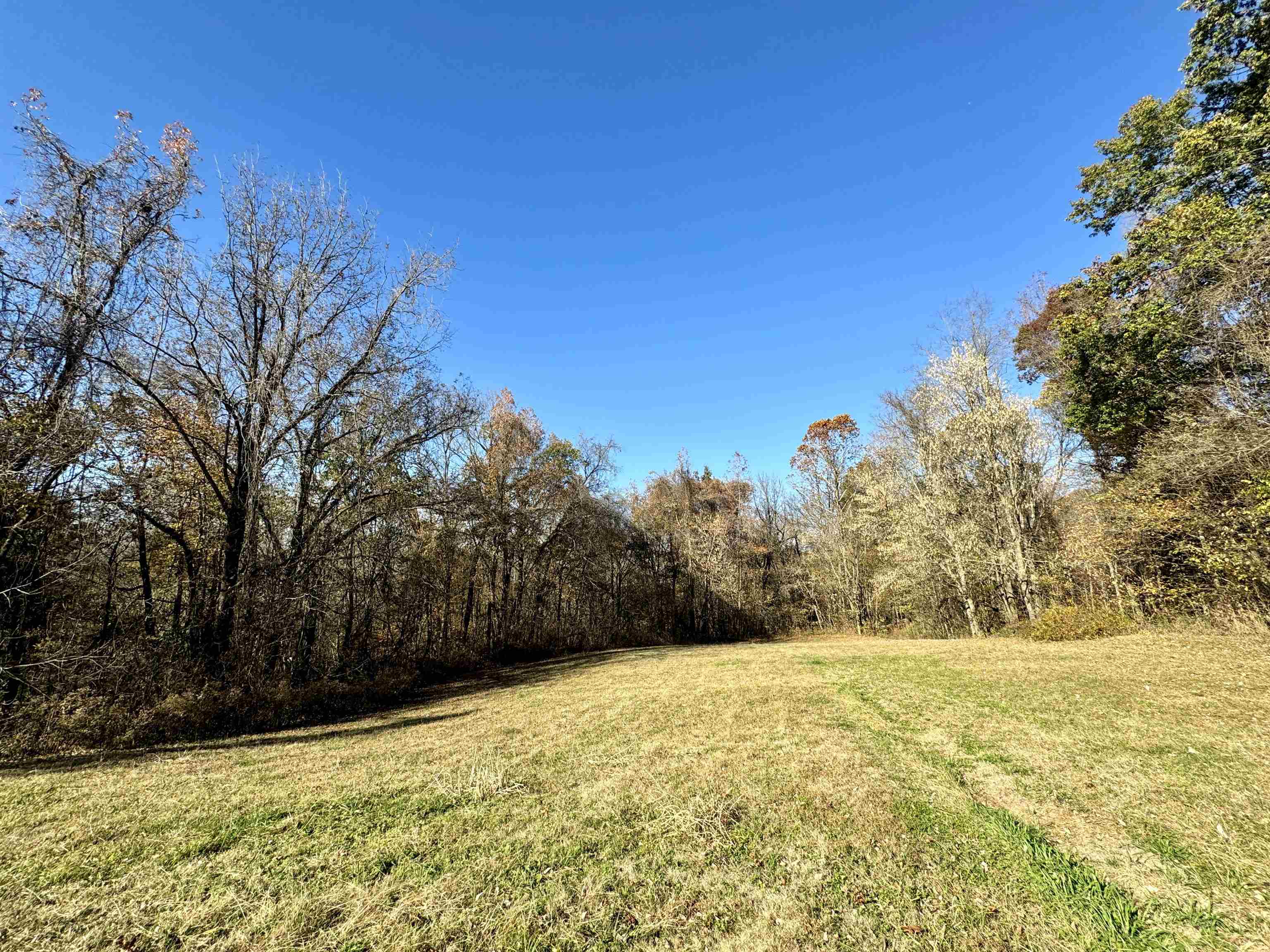 3560 Hobe Webb Road Ripley, TN 38063 - Photo 8 of 29 a view of swimming pool with an outdoor space