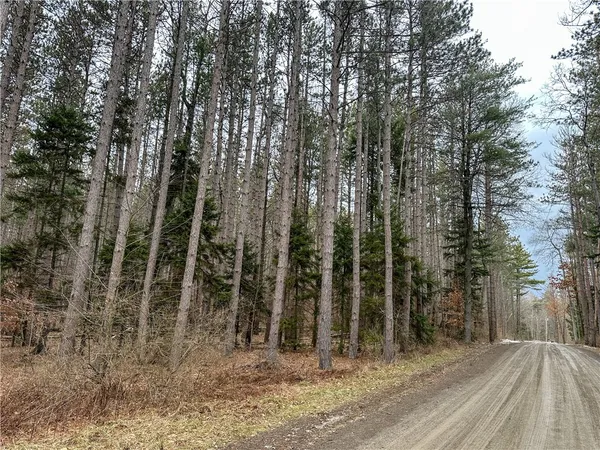 $39,900 | 383 Big Oak Lane, Burns, NY 14807