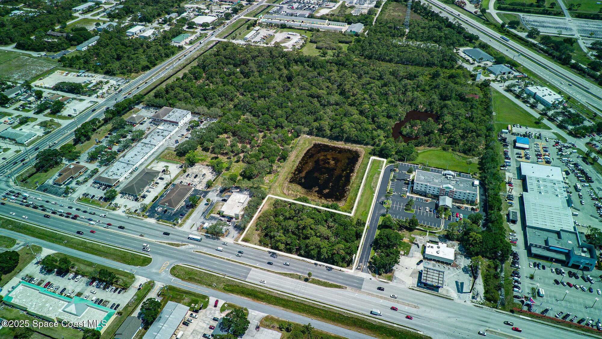 a view of a yard with plants