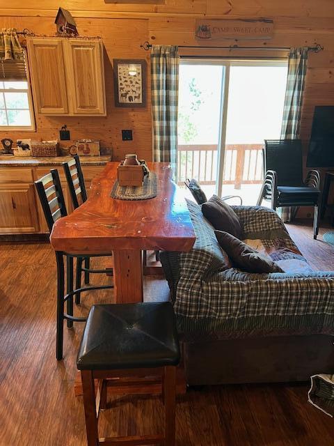 60 Riley Road Mexico, ME 04257 - Photo 24 of 33 IMG_4941