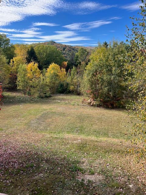 60 Riley Road Mexico, ME 04257 - Photo 10 of 33 IMG_4923