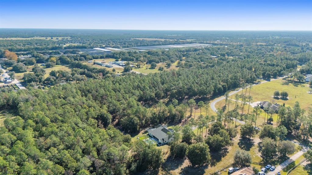 24238 Deep Springs Loop Eustis, FL 32736 - Photo 8 of 9
