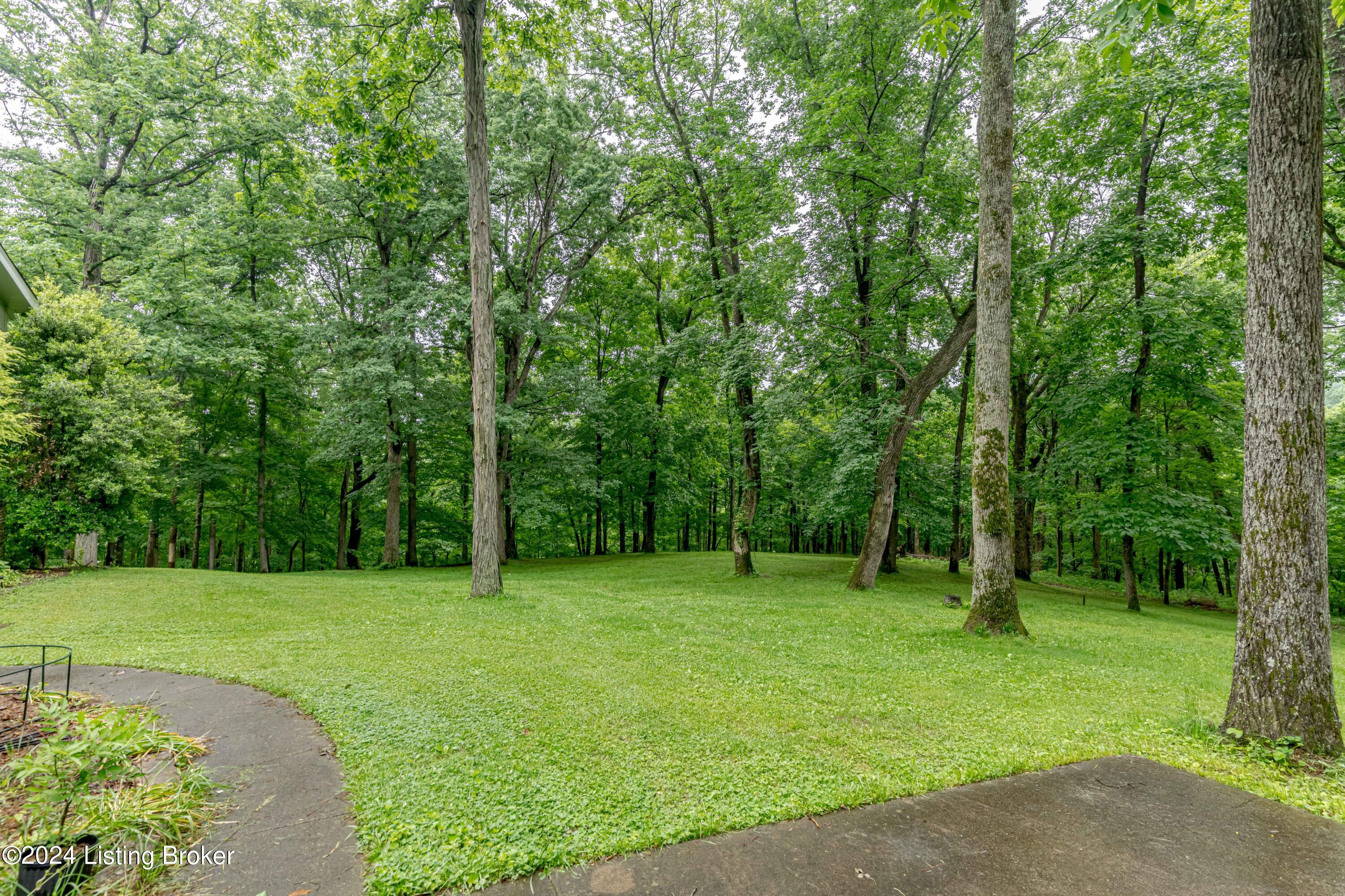 300 Ferncliff Road Brandenburg, KY 40108 - Photo 80 of 94 DSC09227