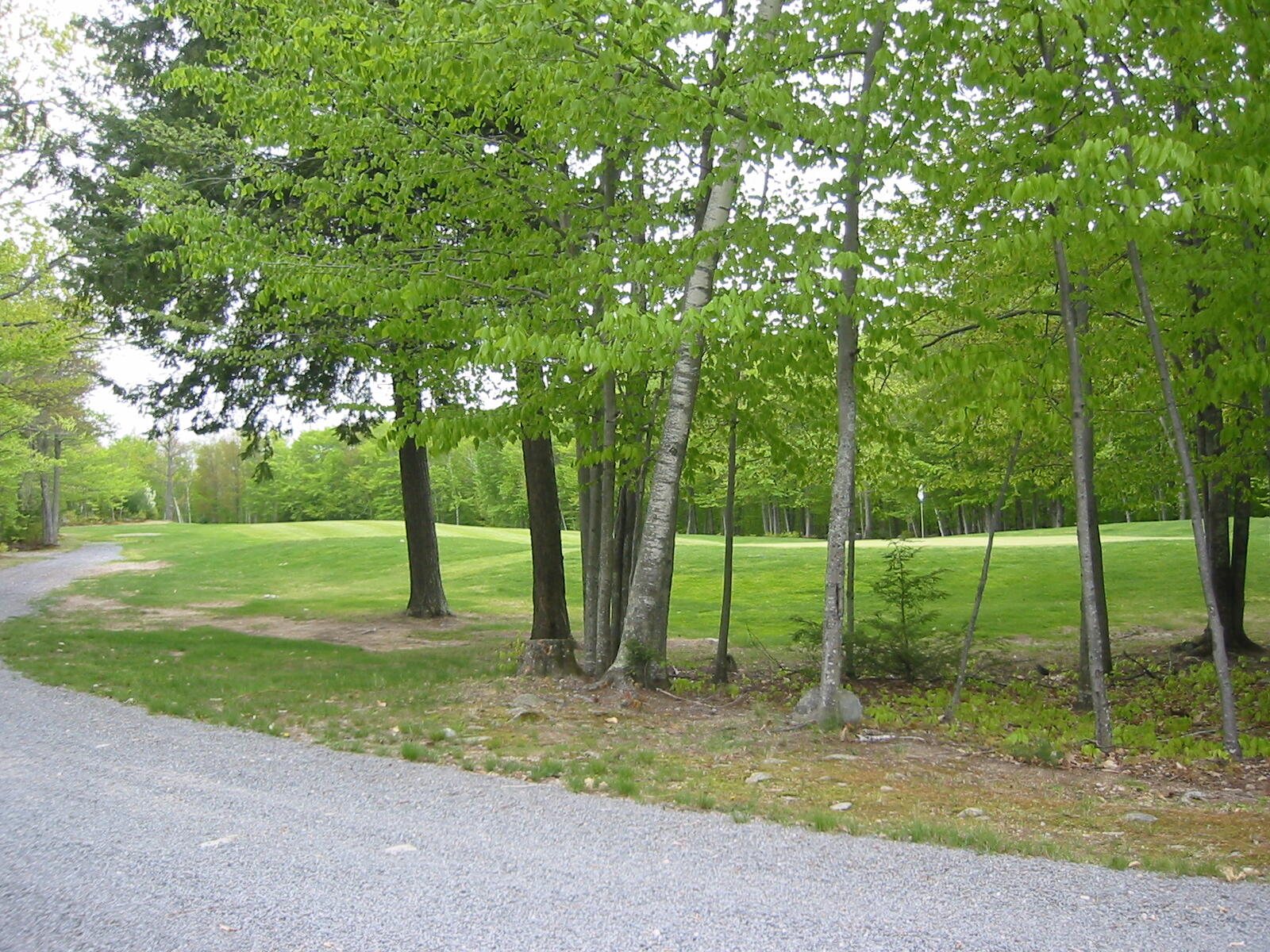 40 High Point Drive Frye Island, ME 04084 - Photo 62 of 66 Picture 493