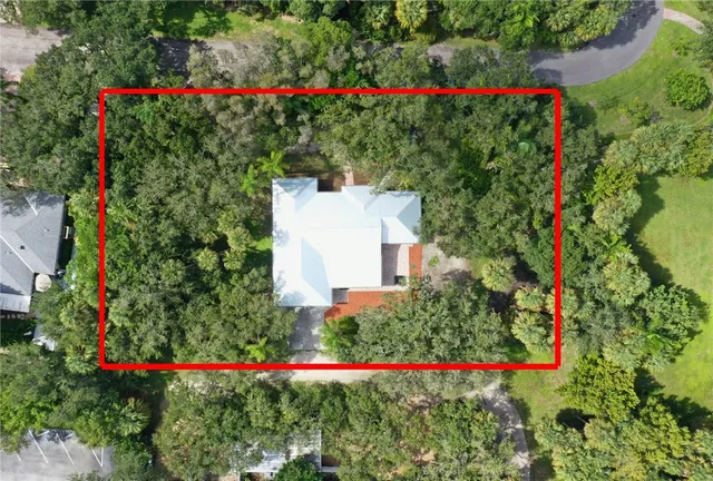 a view of a flower garden