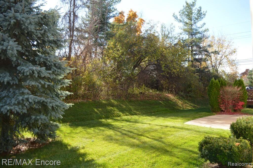 14 Eagle Ridge Road Lake Orion, MI 48360 - Photo 20 of 21 Private back yard