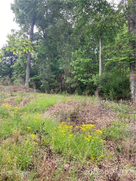 4.66 Fleetwood Road York, SC 29745 - Photo 1 of 3 Gallery Image 1