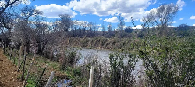 a view of a park with large trees