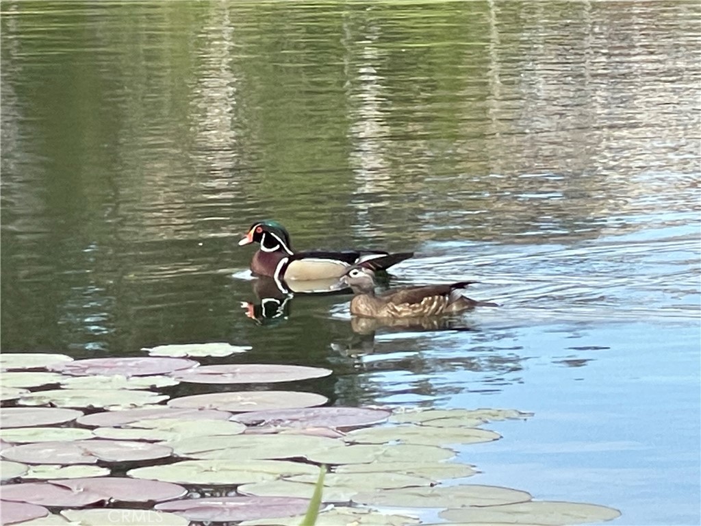 654 North Buttonbush Trail Orange, CA 92869 - Photo 15 of 23 a bathroom with a sink