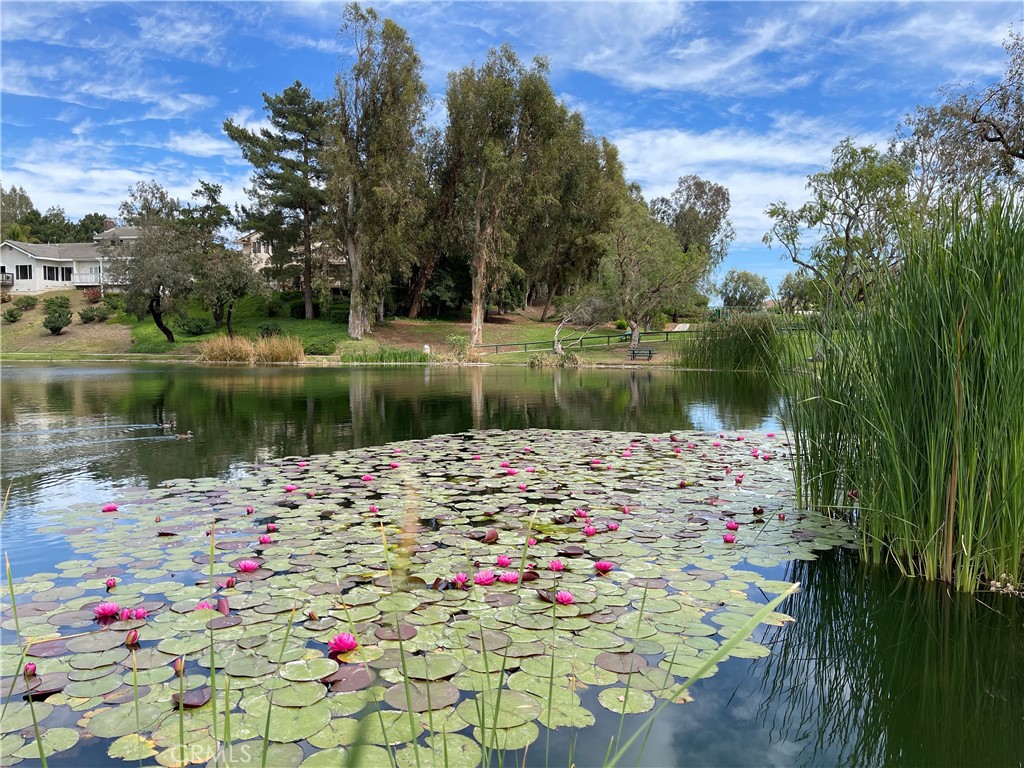 654 North Buttonbush Trail Orange, CA 92869 - Photo 17 of 23 a view of a lake with a house