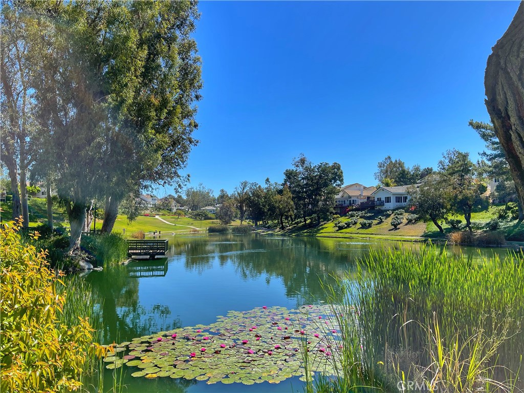 654 North Buttonbush Trail Orange, CA 92869 - Photo 7 of 23 a view of lake