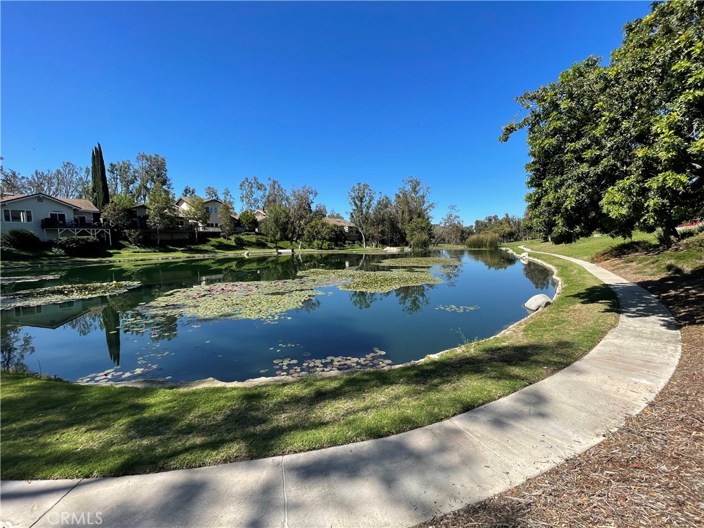 654 North Buttonbush Trail Orange, CA 92869 - Photo 9 of 23 a view of a lake with a house in the background