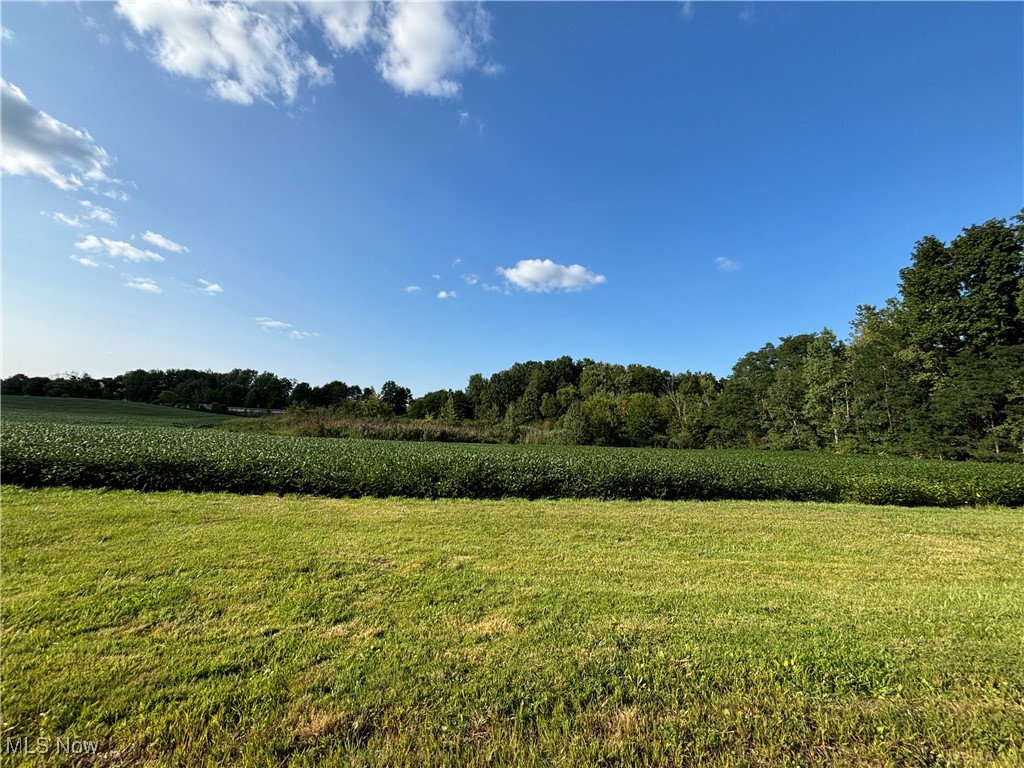 Vacant Land Vacant Land Slagle Road Windham, OH 44288 - Photo 5 of 8 Gallery Image 5