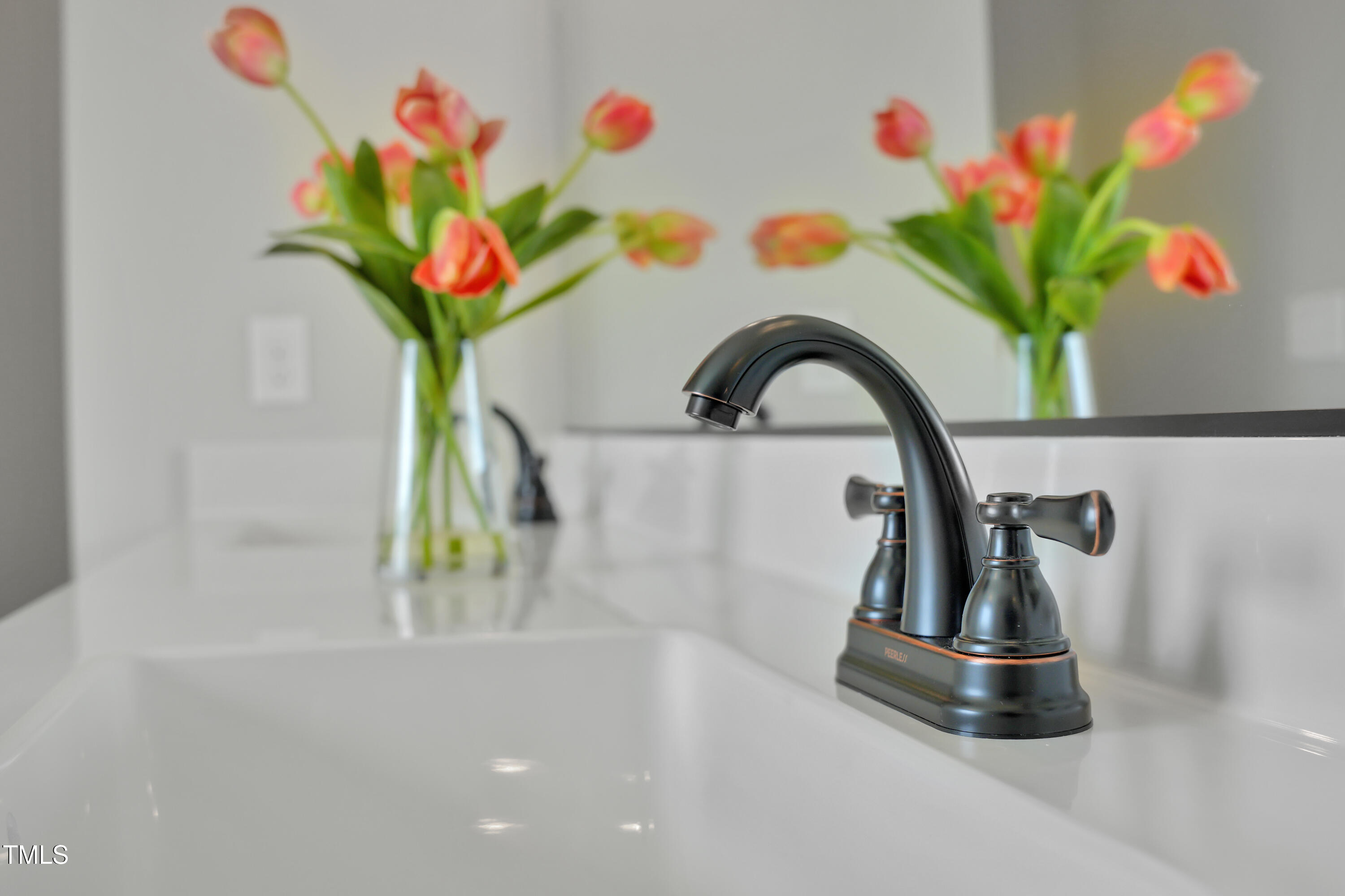 101 Sand Trap Lane Clinton, NC 28328 - Photo 31 of 49 a close view of a sink a faucet a potted plant and a potted plant on a counter