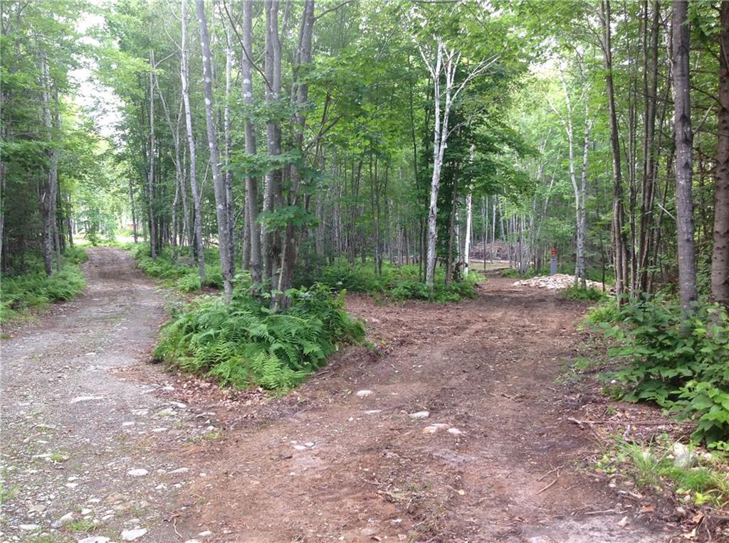 Tbd Tbd Ripley Road Harmony, ME 04942 - Photo 12 of 16 Photo