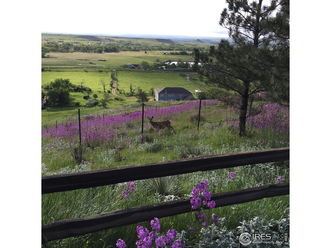 8400 Middle Fork Road Boulder, CO 80302 - Photo 34 of 35 a view of a lake from a balcony