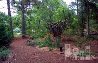 116 Watauga Road Wilmington, NC 28412 - Photo 3 of 9 Additional Photo