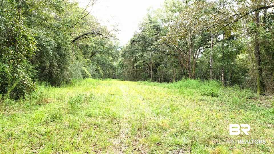 16300 Faulkner Road Bay Minette, AL 36507 - Photo 28 of 40