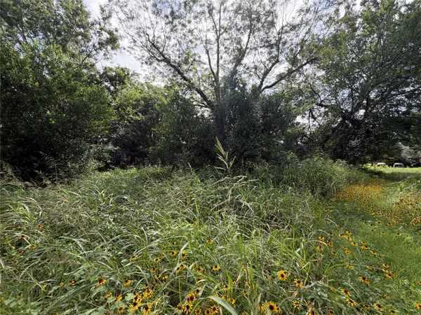$50,000 | 305 Ross Street, Smithville, TX 78957