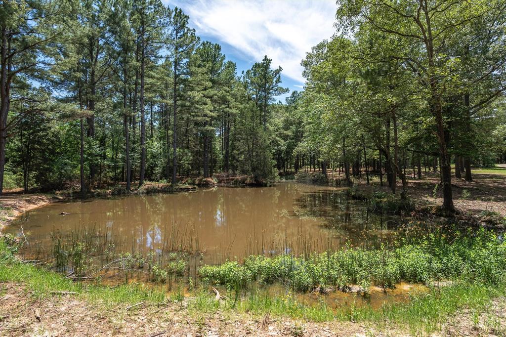 8079 Rd Ben Wheeler Tx 75754 Road Ben Wheeler, TX 75754 - Photo 11 of 37 a view of lake with green space