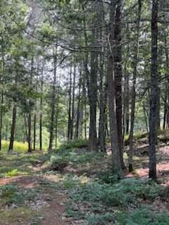 377 Old Stage Road Bath, ME 04530 - Photo 1 of 3 -7070249844282388580