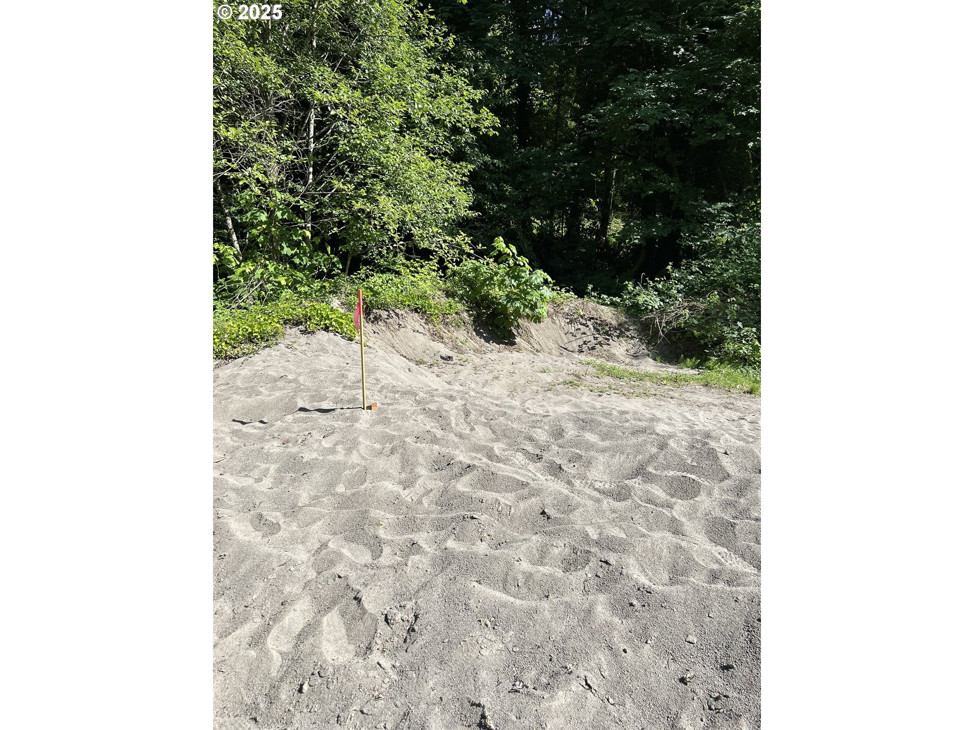 2 East Brightwood Loop Road Brightwood, OR 97011 - Photo 11 of 17