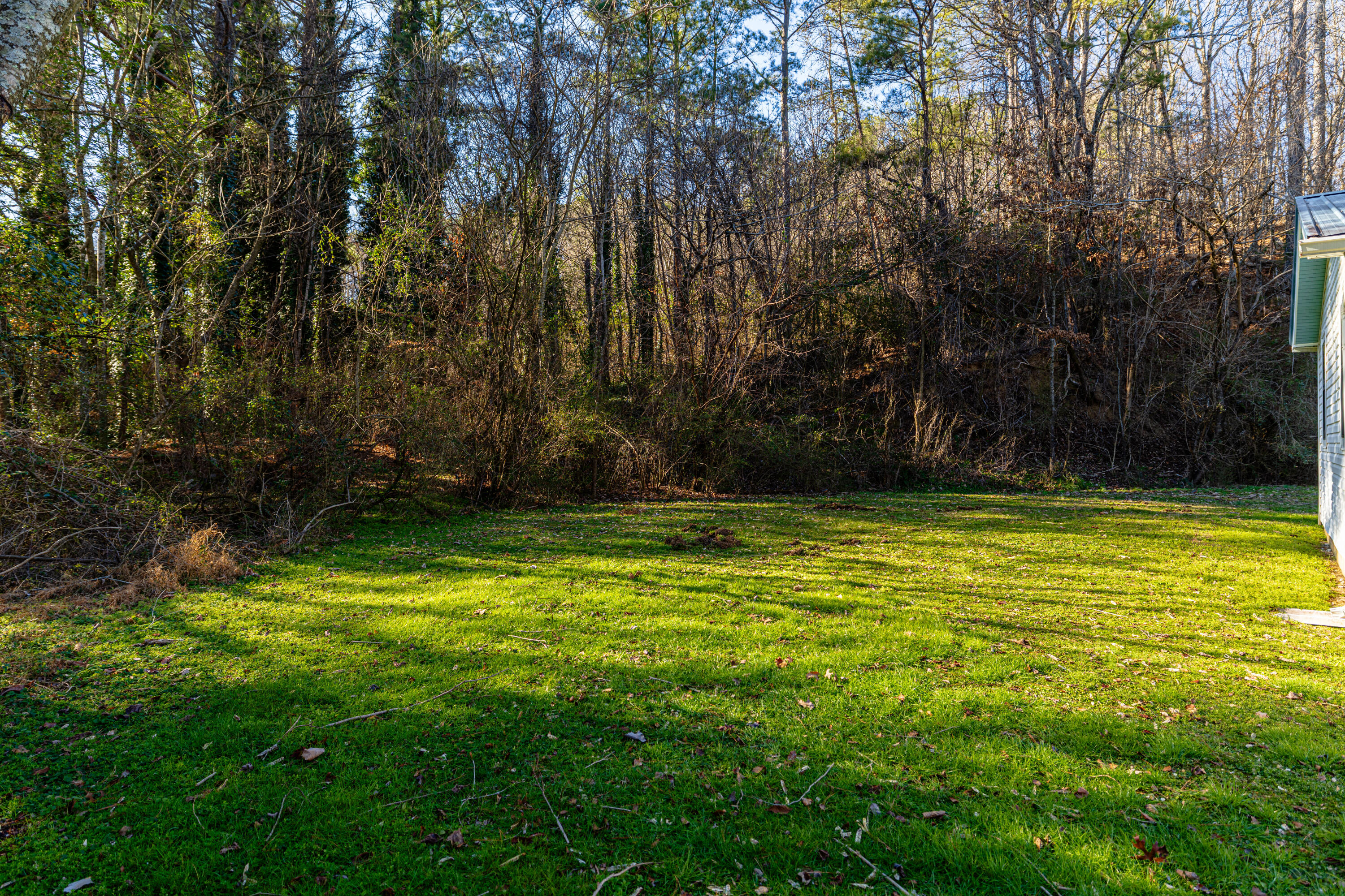 914 Walker Road Rossville, GA 30741 - Photo 5 of 22 4G0A2712