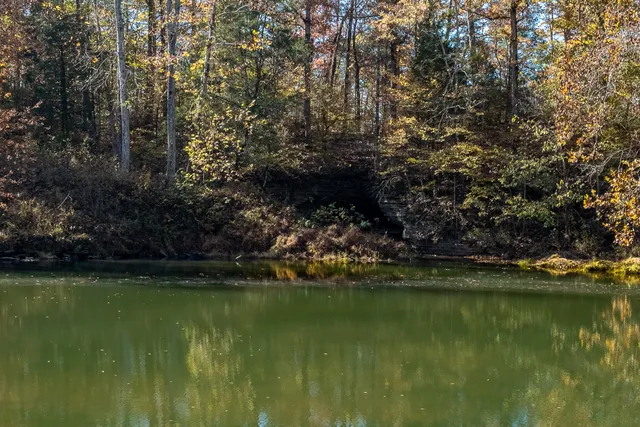 a view of a lake with houses in the background
