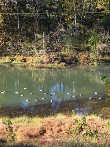 a view of a lake from a yard