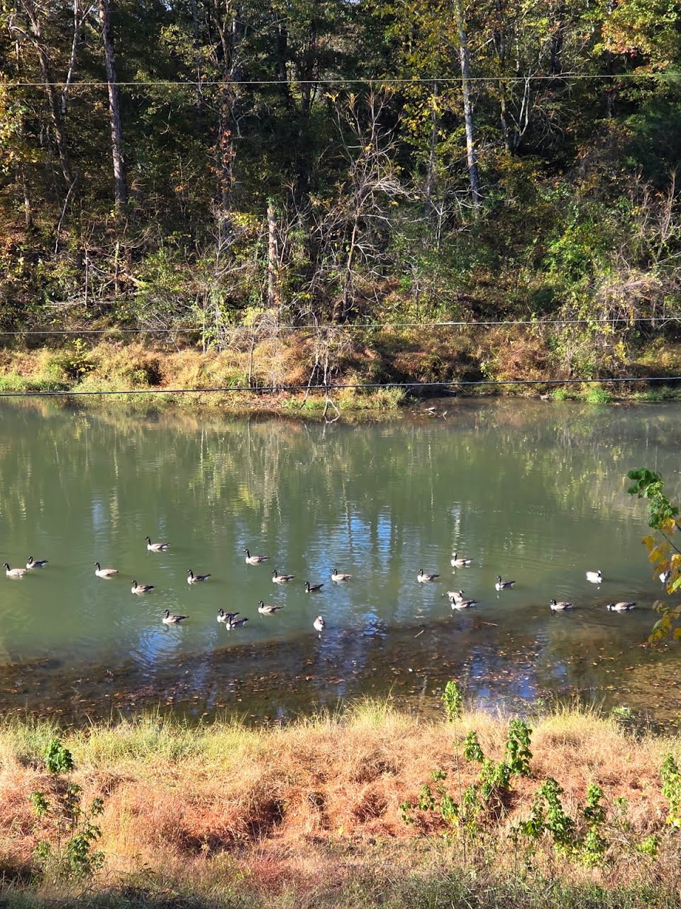 999 Rainbow Lake Road Waynesboro, TN 38485 - Photo 43 of 44 a view of a lake from a yard