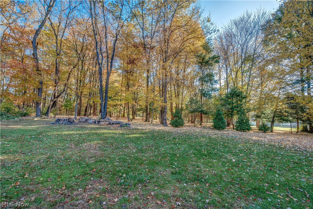 1727 Gregg Road Akron, OH 44306 - Photo 4 of 34 Views from the back of the home